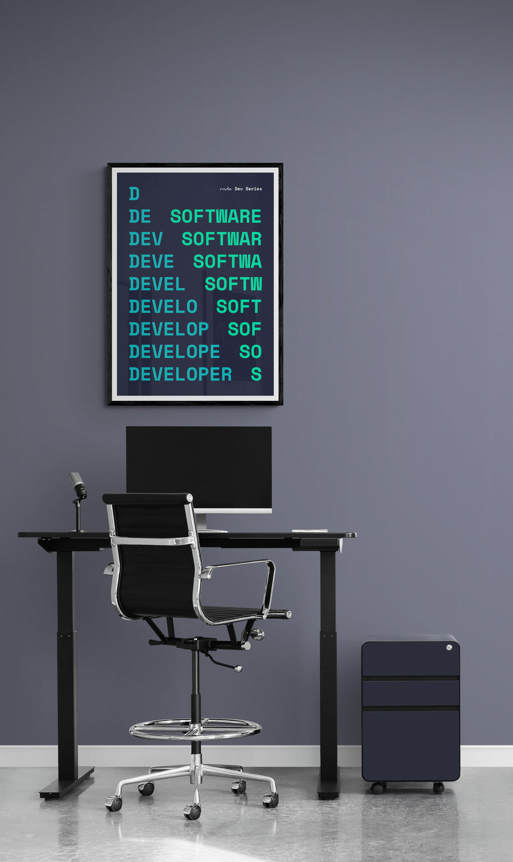 Software Developer Poster